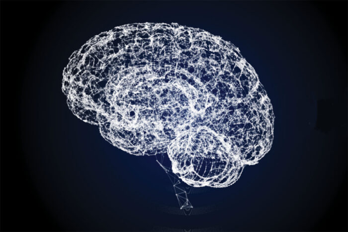 Brain protein neurofilament light