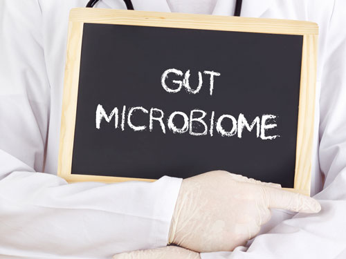 Gut, Microbiome, Darmmicrobioom, schoolbord