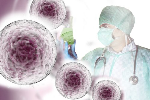 Stem Cell, Transplantation, Research, Labo