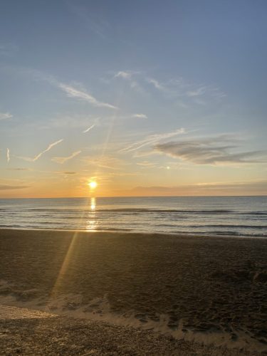 IMG 0738