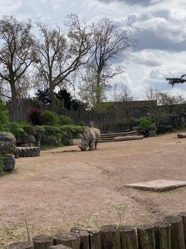 Pairi-Daiza-2026-Familiedag-116
