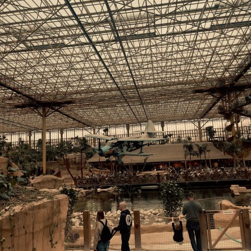 Pairi-Daiza-2026-Familiedag-150