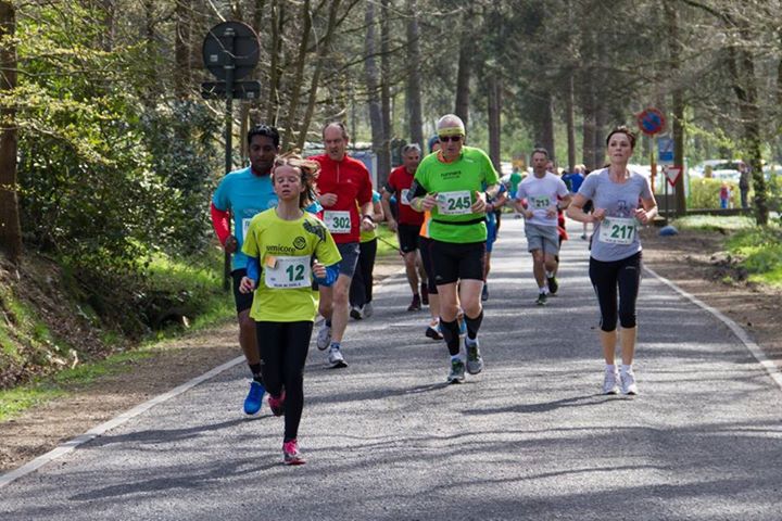 Run-Thals-211-